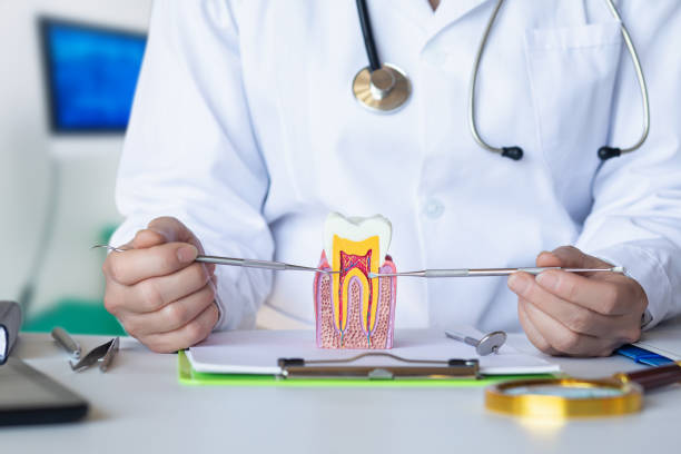 Best Urgent Dental Care in Urania, LA
